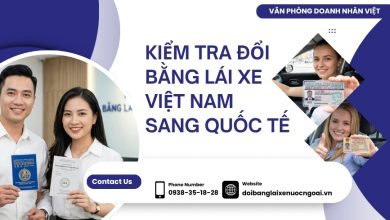 Kiểm tra đổi bằng lái xe Việt Nam sang quốc tế