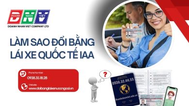 Làm sao đổi bằng lái xe quốc tế IAA