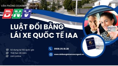 Luật đổi bằng lái xe quốc tế IAA