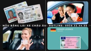Mẫu bằng lái xe Châu Âu