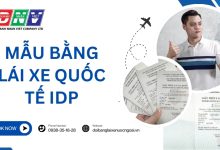 Mẫu bằng lái xe quốc tế IDP