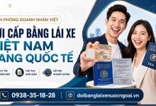 Nơi cấp bằng lái xe Việt Nam sang quốc tế