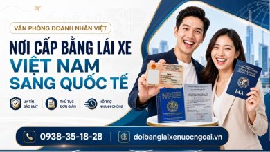 Nơi cấp bằng lái xe Việt Nam sang quốc tế
