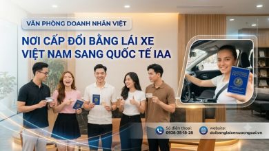 Nơi cấp đổi bằng lái xe Việt Nam sang quốc tế IAA