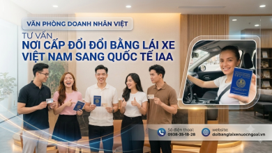 Nơi cấp đổi bằng lái xe Việt Nam sang quốc tế IAA