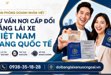 Nơi cấp đổi bằng lái xe Việt Nam sang quốc tế