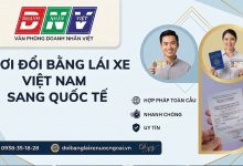 Nơi đổi bằng lái xe Việt Nam sang quốc tế