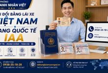 Nơi đổi bằng lái xe Việt Nam sang quốc tế IAA