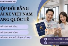 Nộp đổi bằng lái xe Việt Nam sang quốc tế