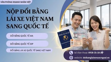 Nộp đổi bằng lái xe Việt Nam sang quốc tế