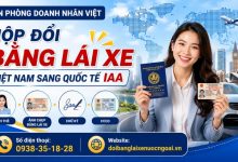 Nộp đổi bằng lái xe Việt Nam sang quốc tế IAA