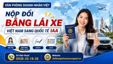 Nộp đổi bằng lái xe Việt Nam sang quốc tế IAA