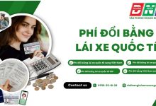 Phí đổi bằng lái xe quốc tế