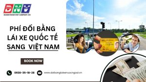 Phí đổi bằng lái xe quốc tế sang Việt Nam