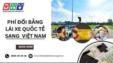 Phí đổi bằng lái xe quốc tế sang Việt Nam