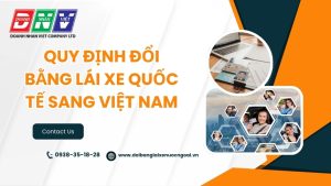Quy định đổi bằng lái xe quốc tế sang Việt Nam
