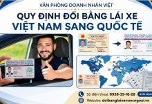 Quy định đổi bằng lái xe Việt Nam sang quốc tế