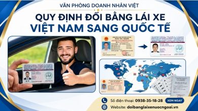 Quy định đổi bằng lái xe Việt Nam sang quốc tế
