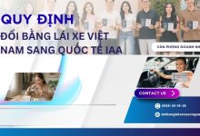 Quy định đổi bằng lái xe Việt Nam sang quốc tế IAA