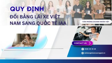 Quy định đổi bằng lái xe Việt Nam sang quốc tế IAA