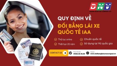Quy định về đổi bằng lái xe quốc tế IAA