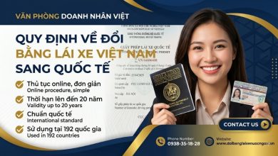 Quy định về đổi bằng lái xe Việt Nam sang quốc tế
