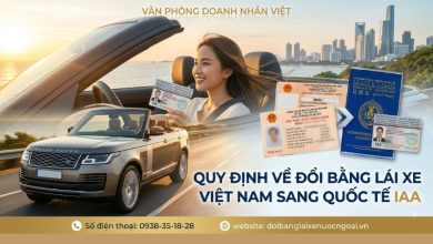 Quy định về đổi bằng lái xe Việt Nam sang quốc tế IAA