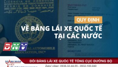 Quy định về giấy phép lái xe quốc tế