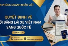 Quyết định đổi bằng l ái xe Việt Nam sang quốc tế