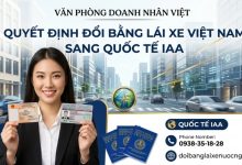 Quyết định đổi bằng lái xe Việt Nam sang quốc tế IAA