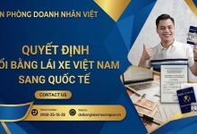 Quyết định đổi bằng l ái xe Việt Nam sang quốc tế