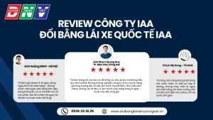 Review công ty IAA đổi bằng lái xe quốc tế IAA