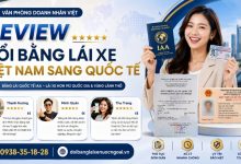 Review đổi bằng lái xe Việt Nam sang quốc tế