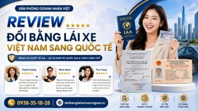 Review đổi bằng lái xe Việt Nam sang quốc tế