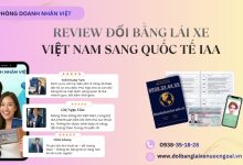 Review đổi bằng lái xe Việt Nam sang quốc tế IAA