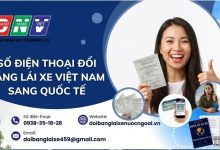 Số điện thoại đổi bằng lái xe Việt Nam sang quốc tế