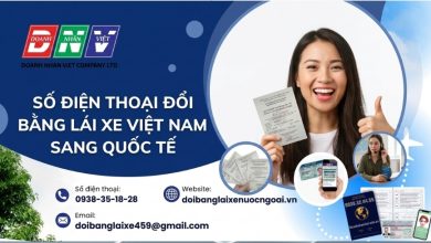 Số điện thoại đổi bằng lái xe Việt Nam sang quốc tế