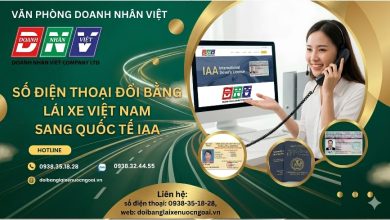 Số điện thoại đổi bằng lái xe Việt Nam sang quốc tế IAA