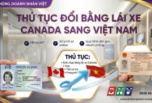 Thủ tục đổi bằng lái xe Canada sang Việt Nam