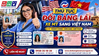 Thủ tục đổi bằng lái xe Mỹ sang Việt Nam