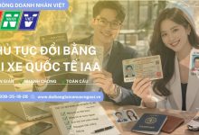 Thủ tục đổi bằng lái xe quốc tế IAA