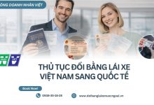 Thủ tục đổi bằng lái xe Việt Nam sang quốc tế