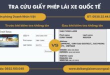 Tra cứu giấy phép lái xe quốc tế