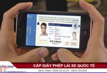 Video clip giới thiệu mẫu bằng lái xe quốc tế