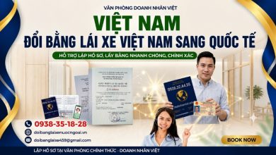 Việt Nam đổi bằng lái xe Việt Nam sang quốc tế