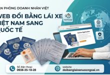 Web đổi bằng lái xe Việt Nam sang quốc tế