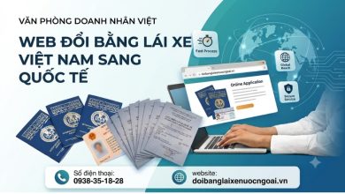 Web đổi bằng lái xe Việt Nam sang quốc tế