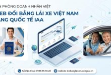 Web đổi bằng lái xe Việt Nam sang quốc tế IAA
