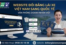 Website đổi bằng lái xe Việt Nam sang quốc tế