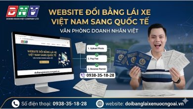 Website đổi bằng lái xe Việt Nam sang quốc tế